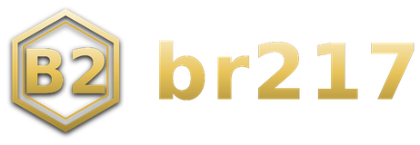 br217 logo
